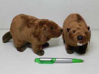 Obrázek z Bobr plyš 25cm (6) 